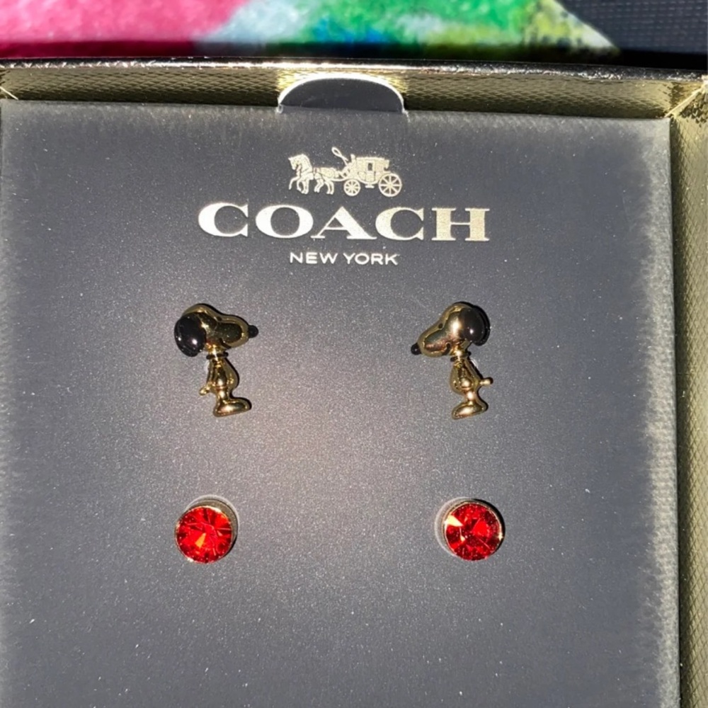 Coach X Peanuts
